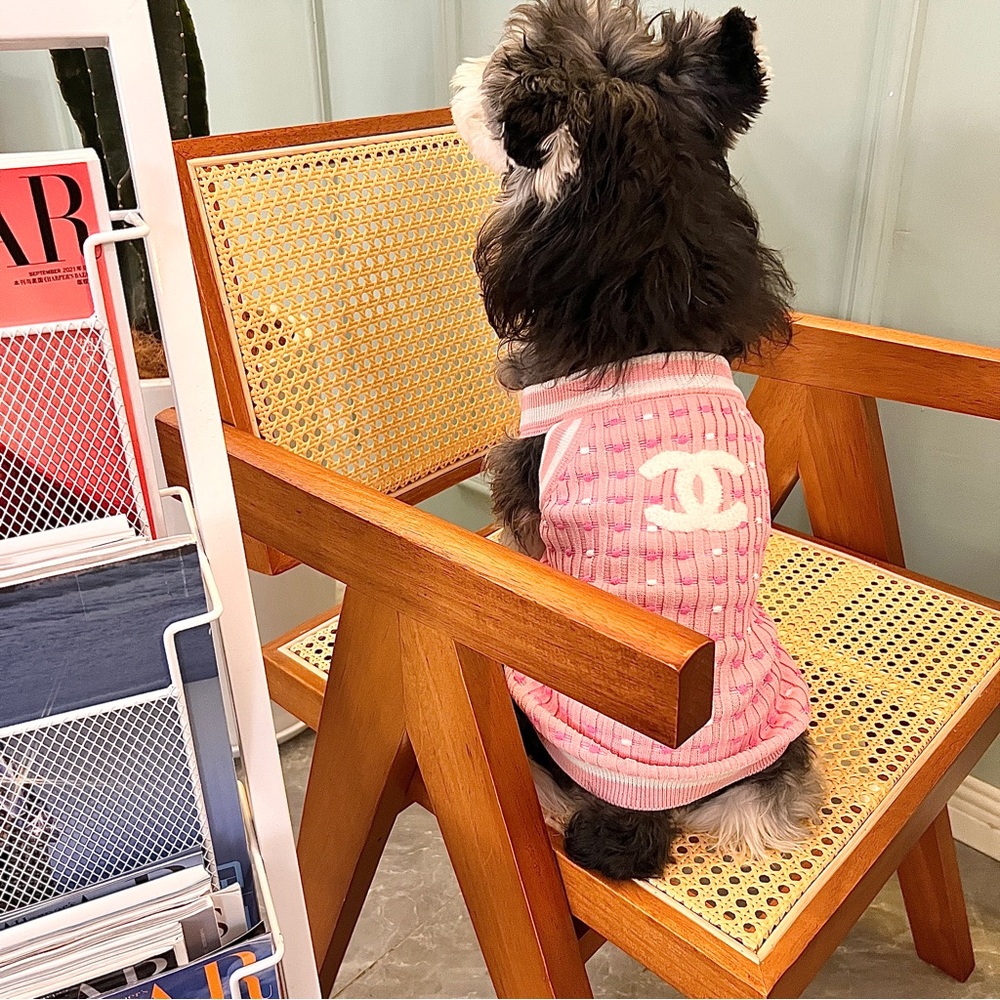Chaney dog sweater shirt